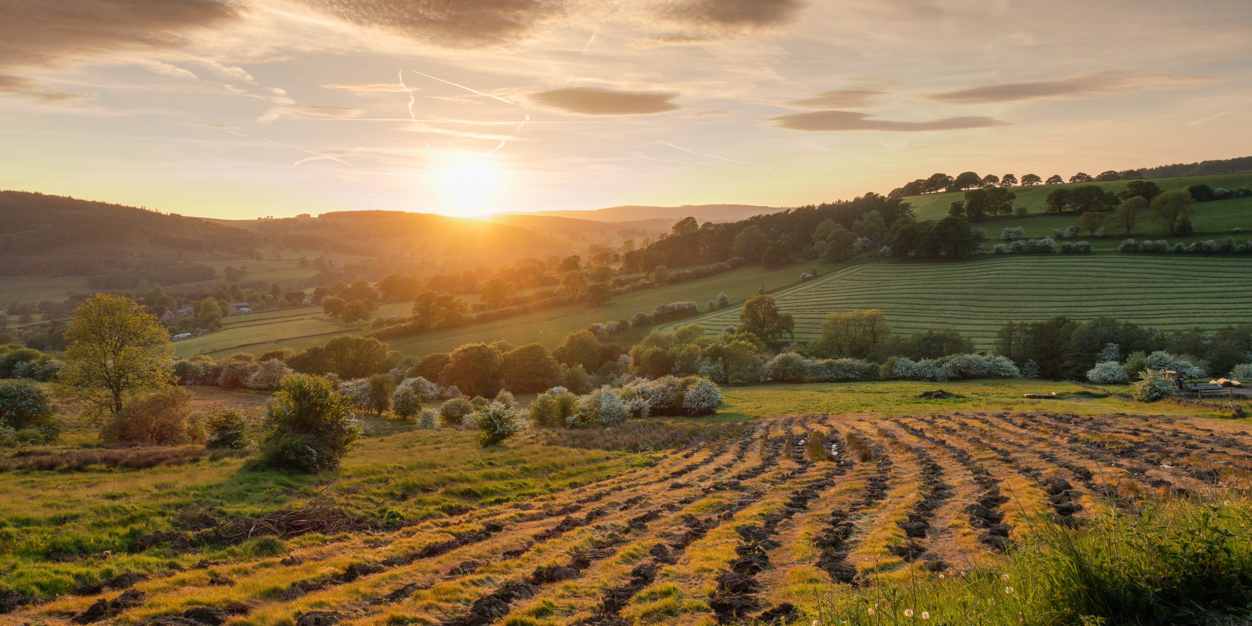 Ploughed Fields Canvas - Beeley Moor