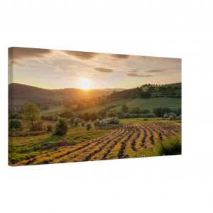 Ploughed Fields Canvas - Beeley Moor